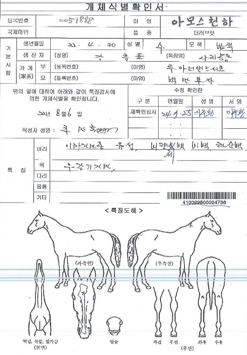 ¾Æ¸ð½ºÃµÇÏÀÇ Ãø¸é,¿ì¸é,µÞ¸é,µÎ»ó,´Ù¸®ÀÇ Æ¯Â¡µµÇØ