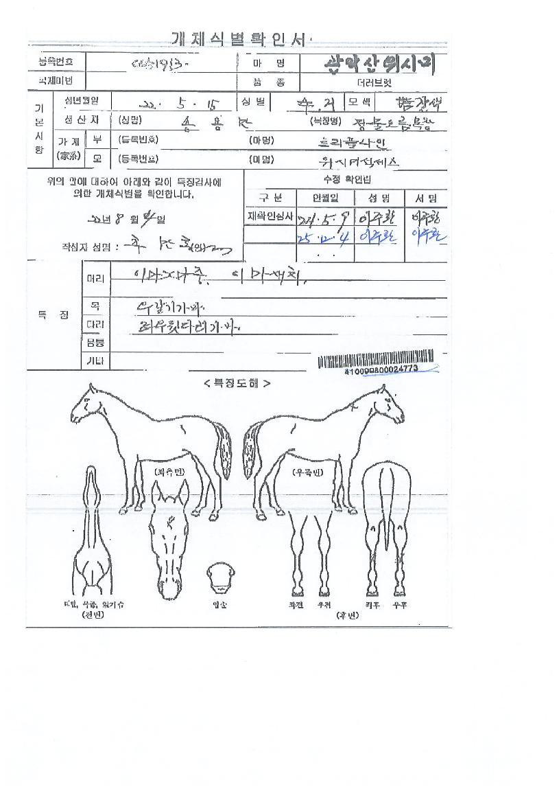 °ü¾Ç»êÀ§½Ã¹ÌÀÇ Ãø¸é,¿ì¸é,µÞ¸é,µÎ»ó,´Ù¸®ÀÇ Æ¯Â¡µµÇØ