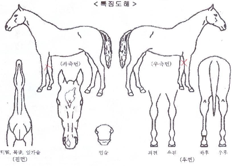 �Ŀ������� ����,���,�޸�,�λ�,�ٸ��� Ư¡����