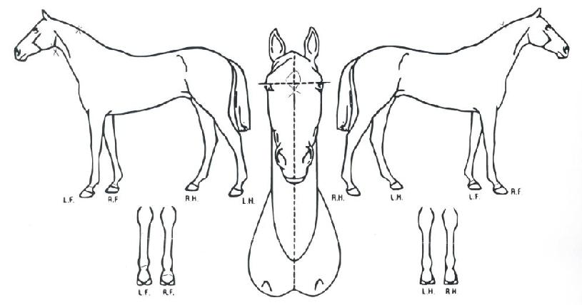 ������Ÿ�� ����,���,�޸�,�λ�,�ٸ��� Ư¡����