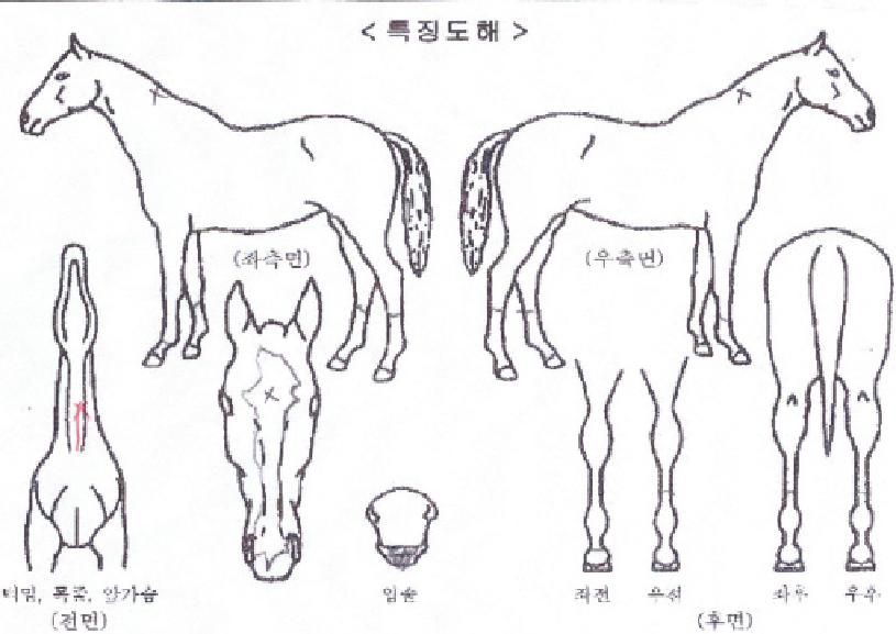 ����Ǯ���̺��� ����,���,�޸�,�λ�,�ٸ��� Ư¡����