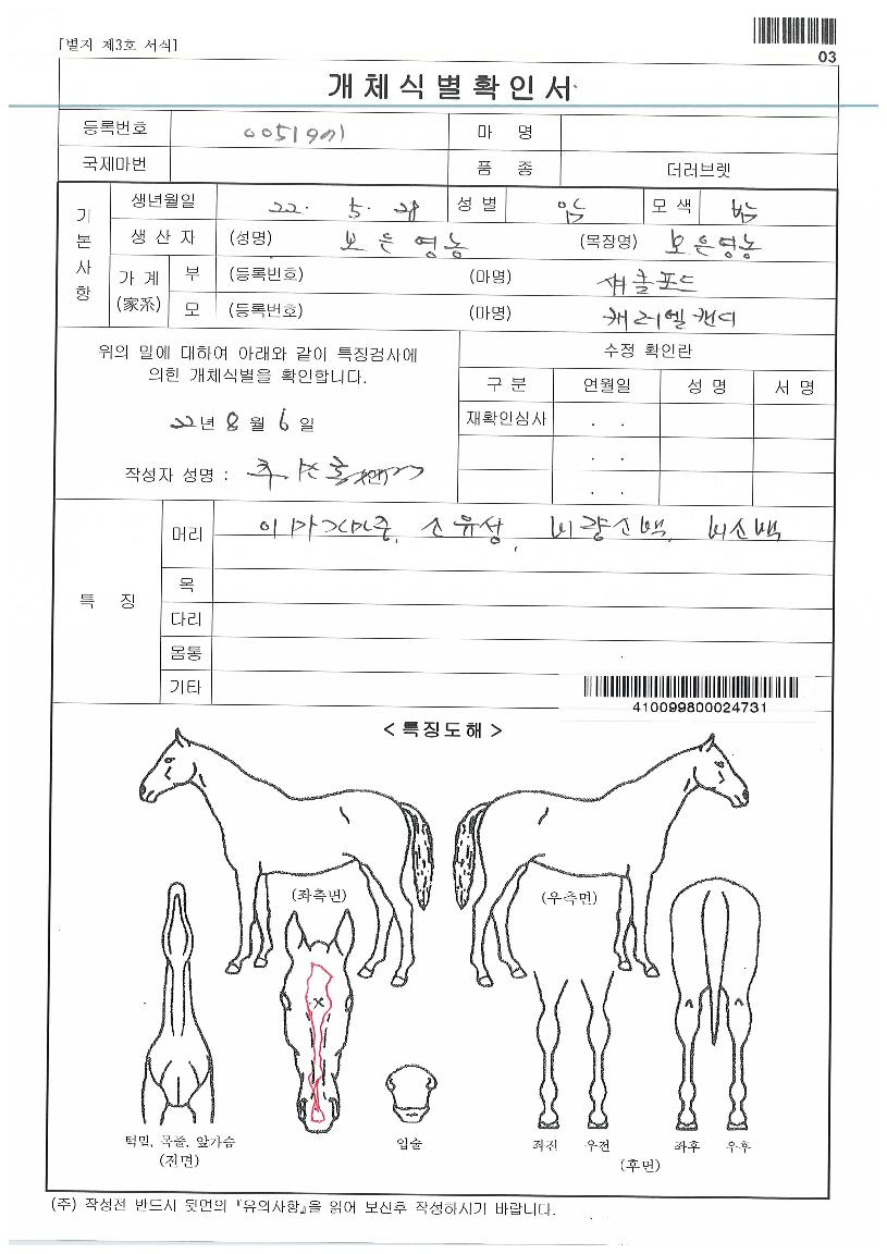 �����ӵ帲�� ����,���,�޸�,�λ�,�ٸ��� Ư¡����