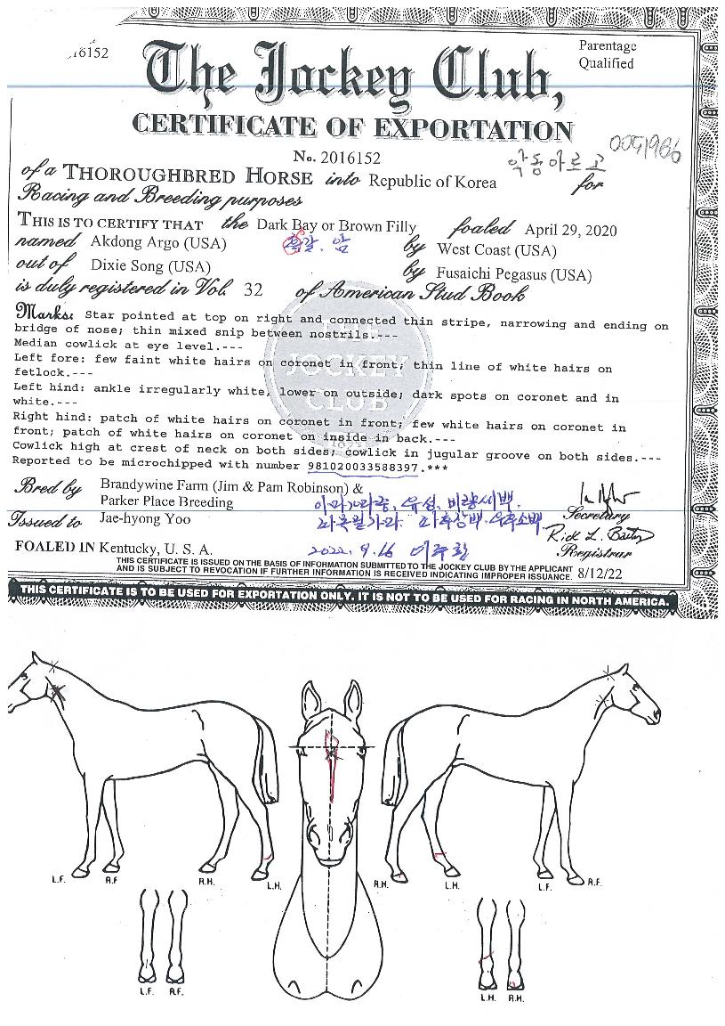 �ǵ��Ƹ����� ����,���,�޸�,�λ�,�ٸ��� Ư¡����