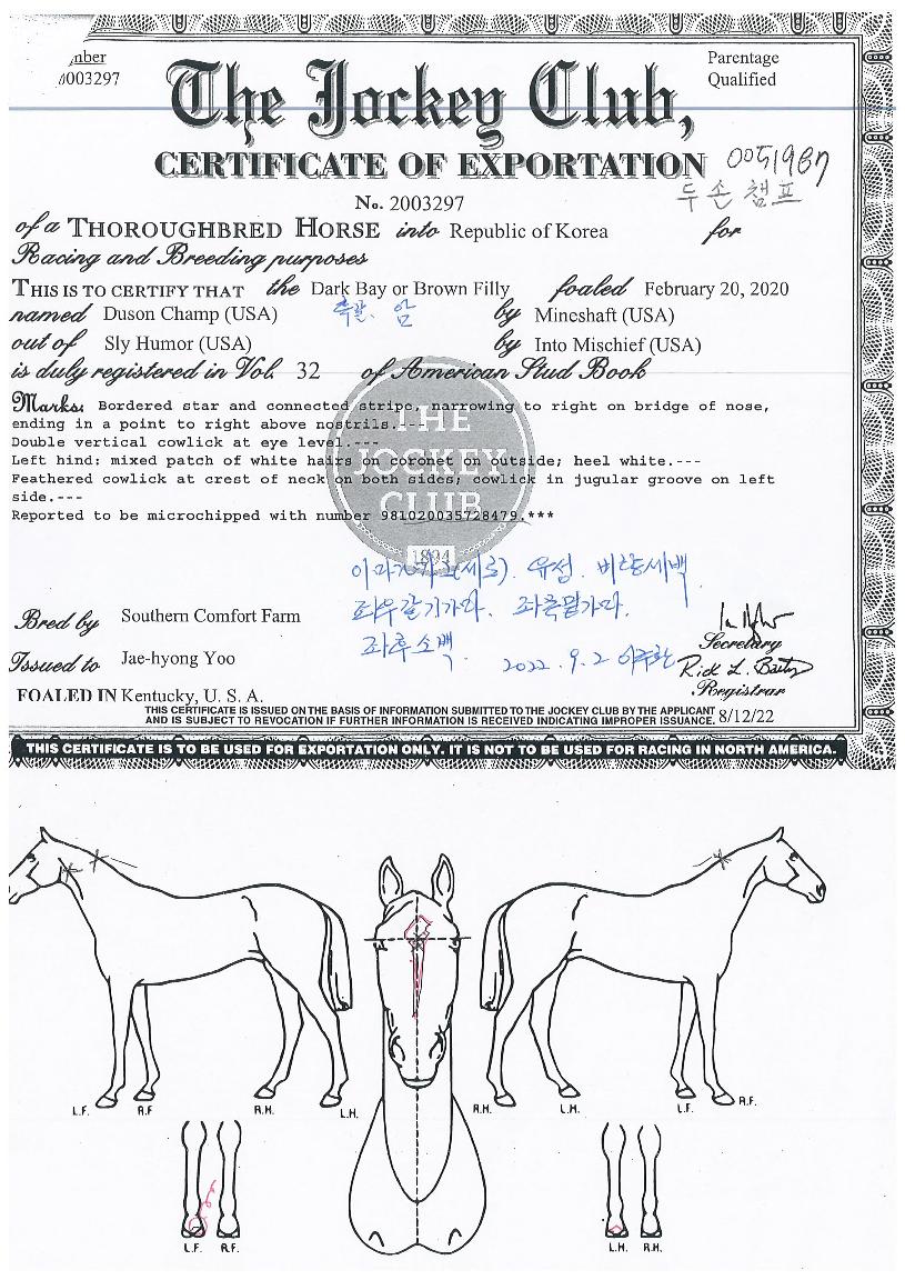 µÎ¼ÕèÇÁÀÇ Ãø¸é,¿ì¸é,µÞ¸é,µÎ»ó,´Ù¸®ÀÇ Æ¯Â¡µµÇØ