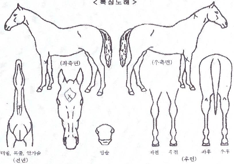 ���������� ����,���,�޸�,�λ�,�ٸ��� Ư¡����