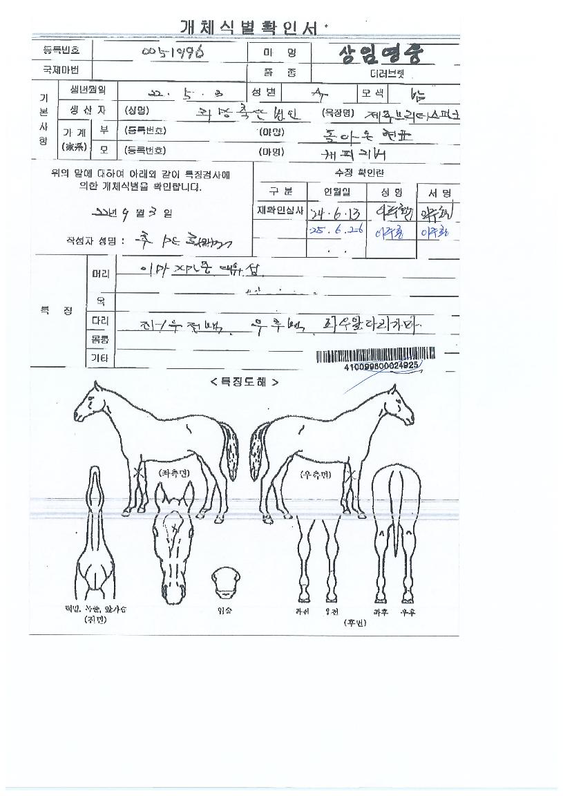 »óÀÓ¿µ¿õÀÇ Ãø¸é,¿ì¸é,µÞ¸é,µÎ»ó,´Ù¸®ÀÇ Æ¯Â¡µµÇØ