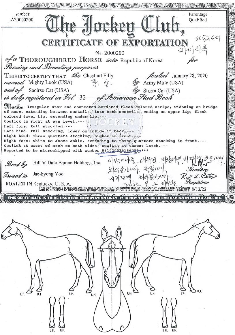 ����Ƽ���� ����,���,�޸�,�λ�,�ٸ��� Ư¡����