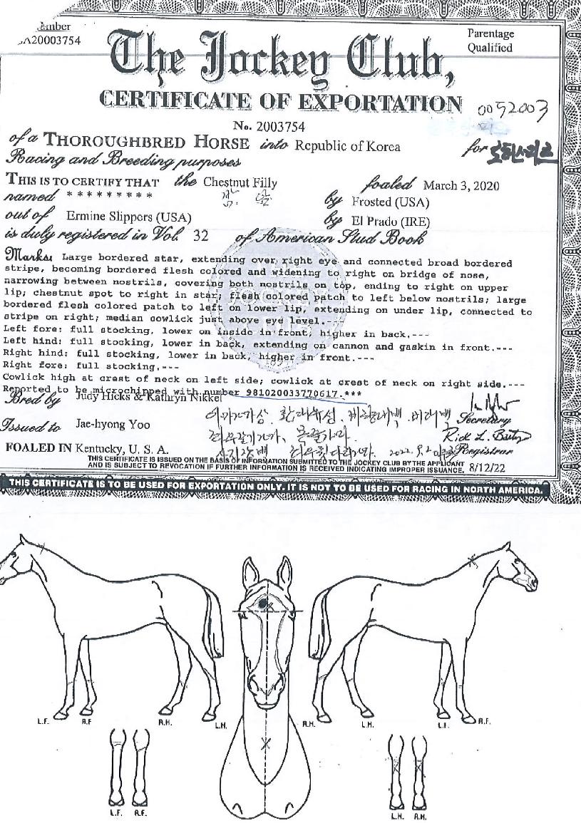 ·ÎÅͽº¹Ì¸£ÀÇ Ãø¸é,¿ì¸é,µÞ¸é,µÎ»ó,´Ù¸®ÀÇ Æ¯Â¡µµÇØ