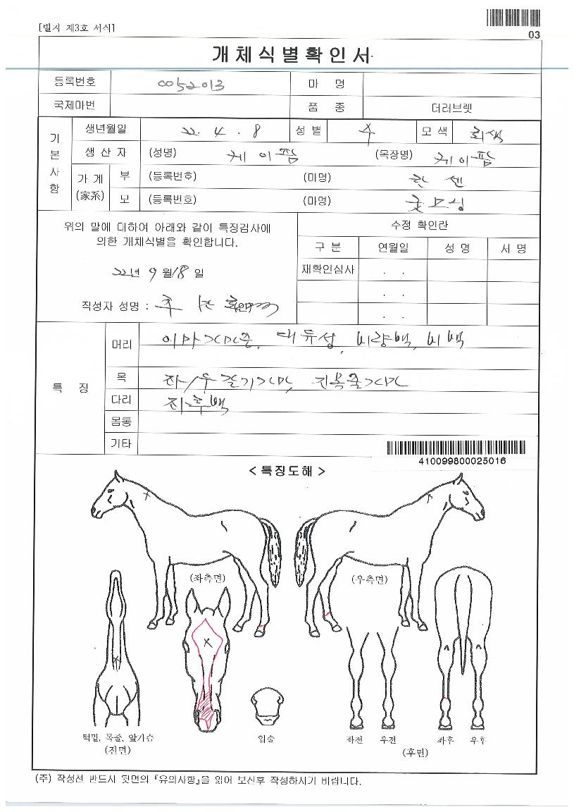 ¼±ÍÇÁ¸°½ºÀÇ Ãø¸é,¿ì¸é,µÞ¸é,µÎ»ó,´Ù¸®ÀÇ Æ¯Â¡µµÇØ