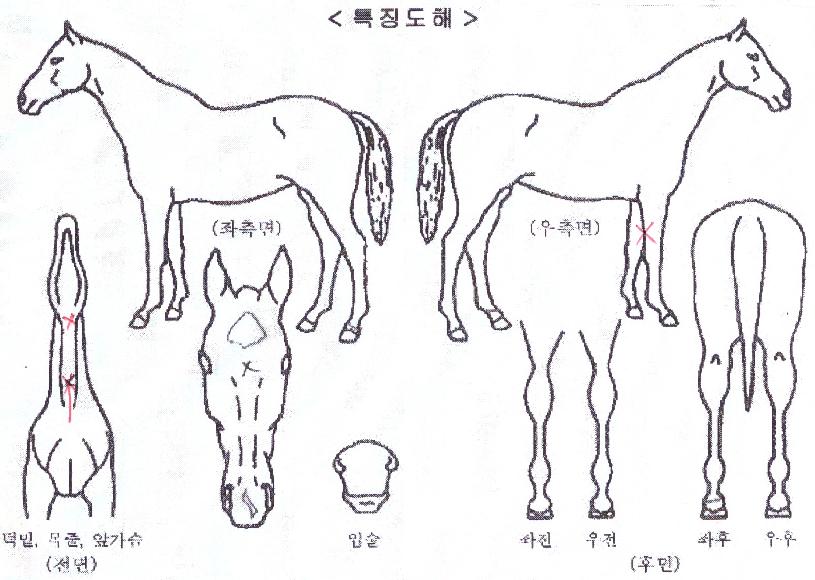 ���̽����� ����,���,�޸�,�λ�,�ٸ��� Ư¡����