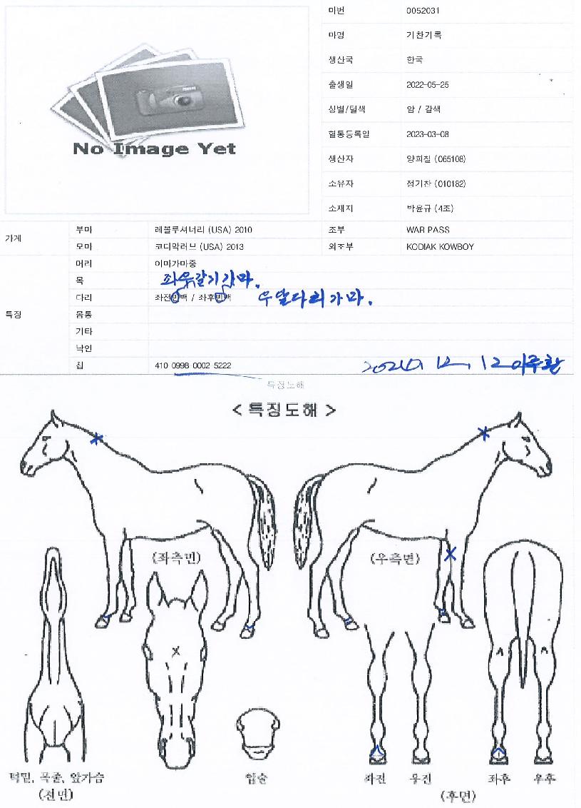 ±âÂù±â·ÏÀÇ Ãø¸é,¿ì¸é,µÞ¸é,µÎ»ó,´Ù¸®ÀÇ Æ¯Â¡µµÇØ