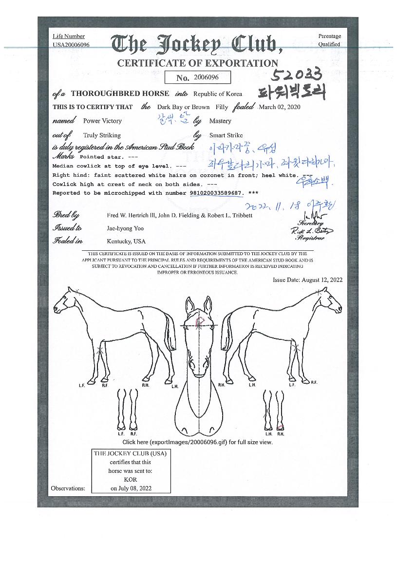 �Ŀ����丮�� ����,���,�޸�,�λ�,�ٸ��� Ư¡����