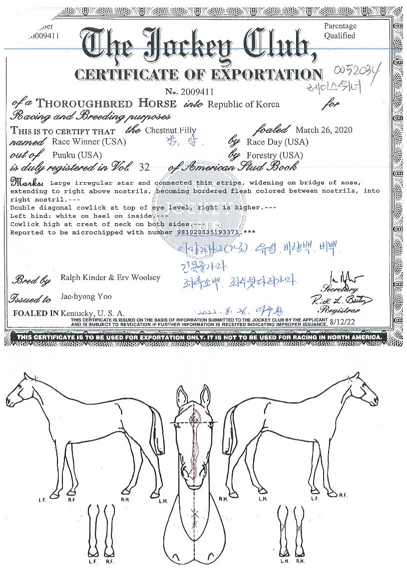 ���̽������� ����,���,�޸�,�λ�,�ٸ��� Ư¡����