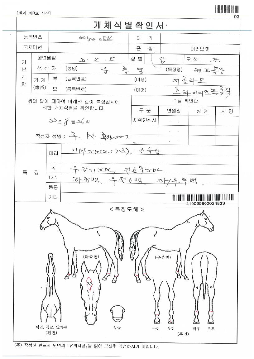 ºê¶óÀ̵ðÁîÇÁ·Ñ¸¯ÀÚ¸¶ÀÇ Ãø¸é,¿ì¸é,µÞ¸é,µÎ»ó,´Ù¸®ÀÇ Æ¯Â¡µµÇØ