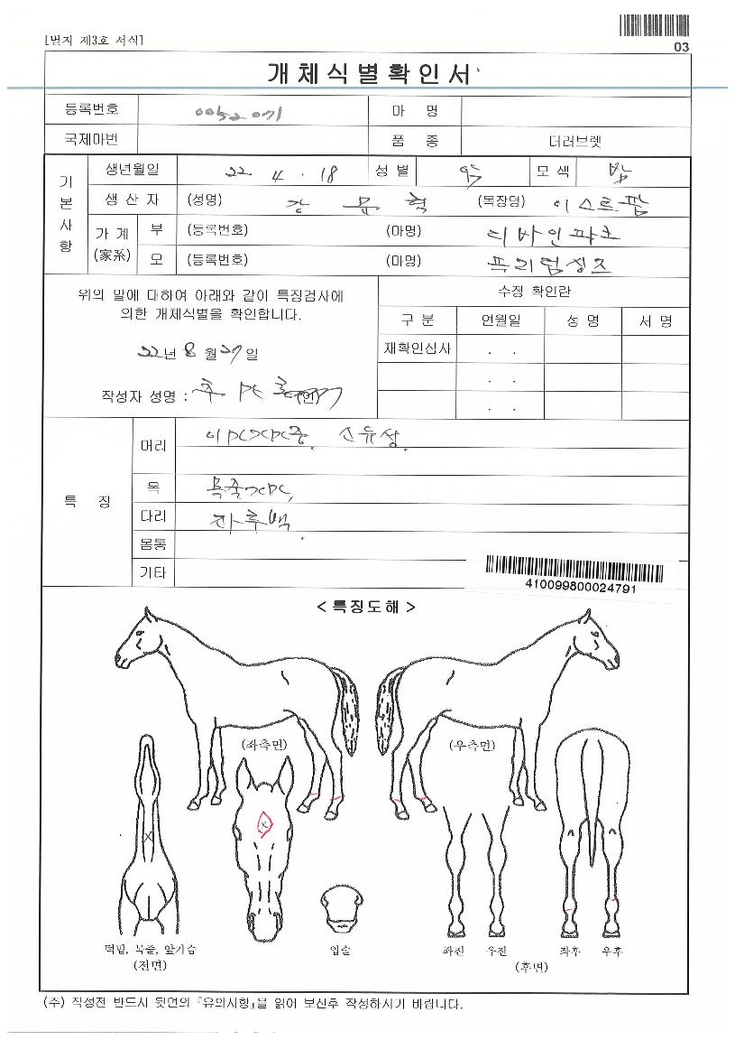 ÇÁ¸®´ý½ÌÁîÀÚ¸¶ÀÇ Ãø¸é,¿ì¸é,µÞ¸é,µÎ»ó,´Ù¸®ÀÇ Æ¯Â¡µµÇØ