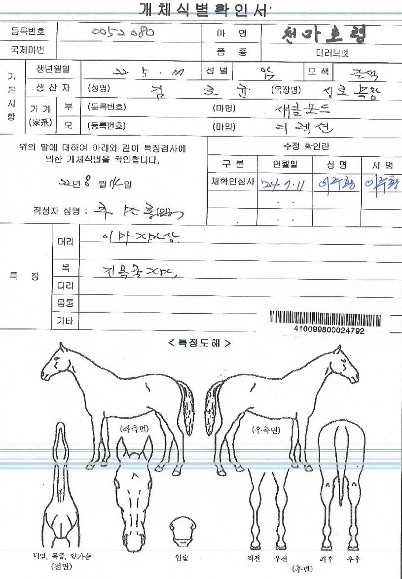 õ¸¶È£·ÉÀÇ Ãø¸é,¿ì¸é,µÞ¸é,µÎ»ó,´Ù¸®ÀÇ Æ¯Â¡µµÇØ