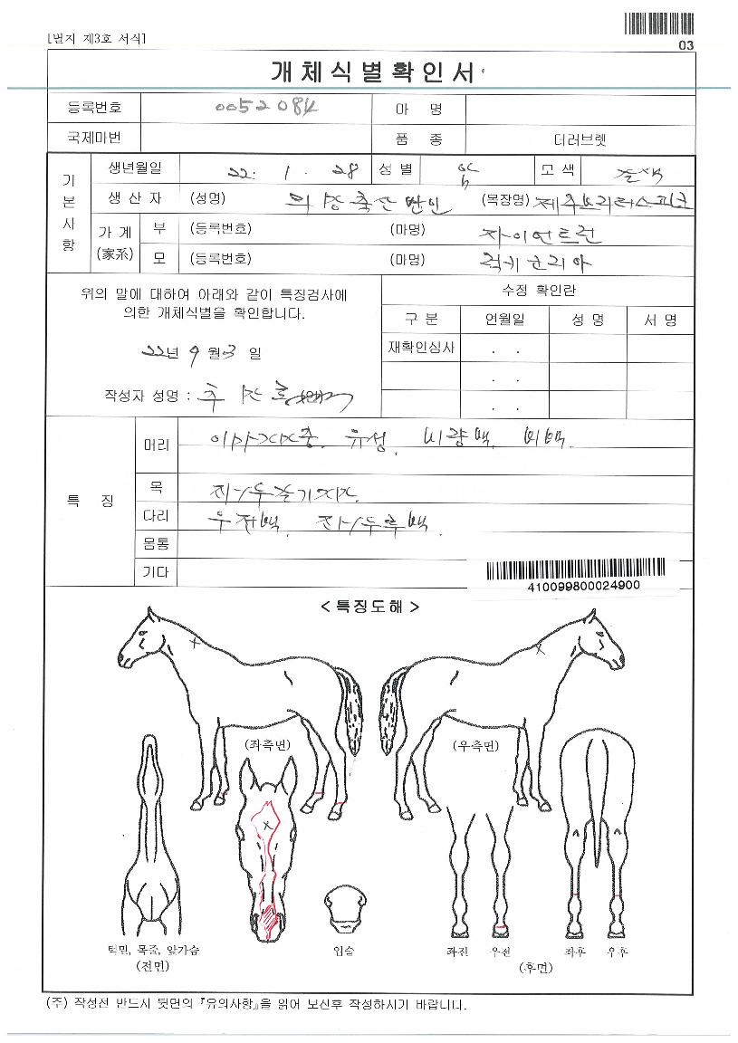 º¸·É¸Ó´ÏÄýÀÇ Ãø¸é,¿ì¸é,µÞ¸é,µÎ»ó,´Ù¸®ÀÇ Æ¯Â¡µµÇØ