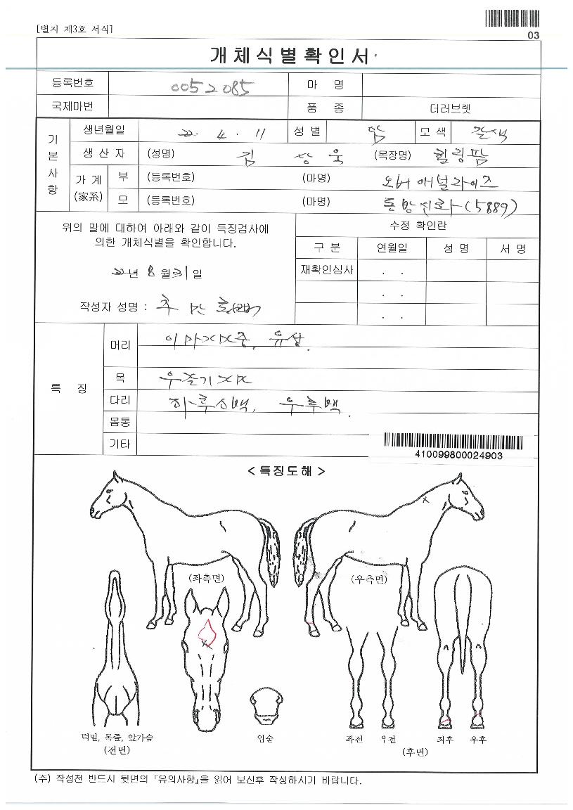 �����ȭ�ڸ��� ����,���,�޸�,�λ�,�ٸ��� Ư¡����