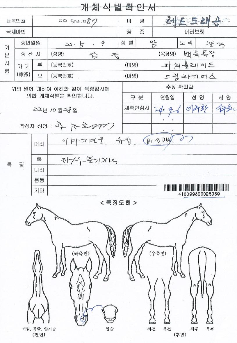 ·¹µåµå·¡°ïÀÇ Ãø¸é,¿ì¸é,µÞ¸é,µÎ»ó,´Ù¸®ÀÇ Æ¯Â¡µµÇØ