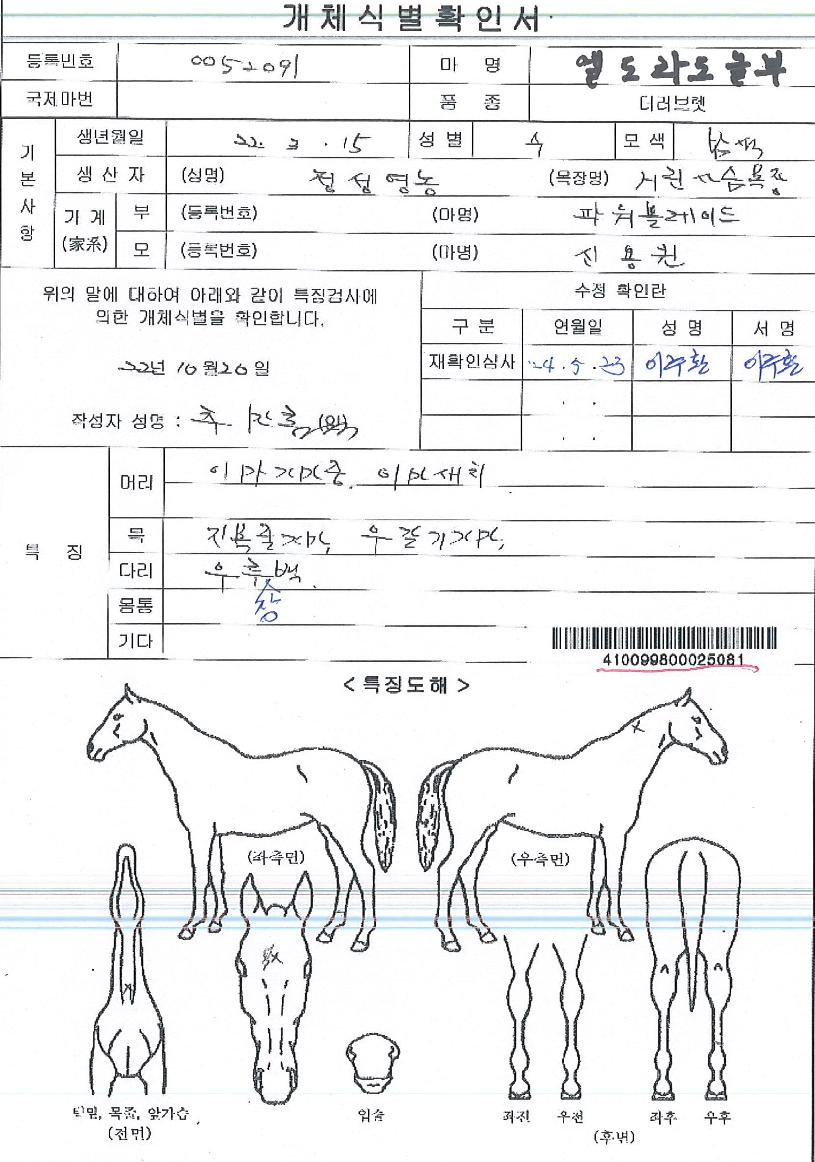 ¿¤µµ¶óµµ³îºÎÀÇ Ãø¸é,¿ì¸é,µÞ¸é,µÎ»ó,´Ù¸®ÀÇ Æ¯Â¡µµÇØ