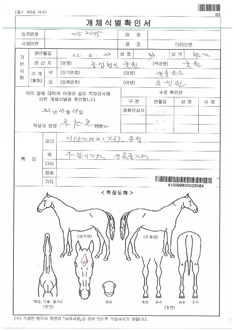 �������ڸ��� ����,���,�޸�,�λ�,�ٸ��� Ư¡����