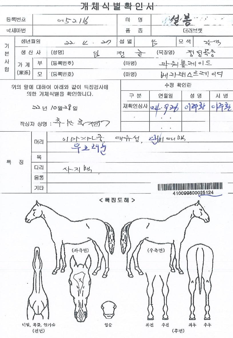 ¼³ºÀÀÇ Ãø¸é,¿ì¸é,µÞ¸é,µÎ»ó,´Ù¸®ÀÇ Æ¯Â¡µµÇØ