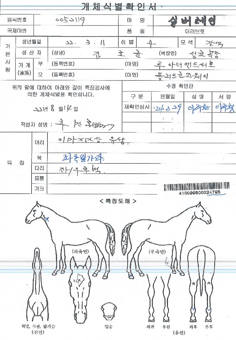 ½Ç¹ö·¹ÀÎÀÇ Ãø¸é,¿ì¸é,µÞ¸é,µÎ»ó,´Ù¸®ÀÇ Æ¯Â¡µµÇØ