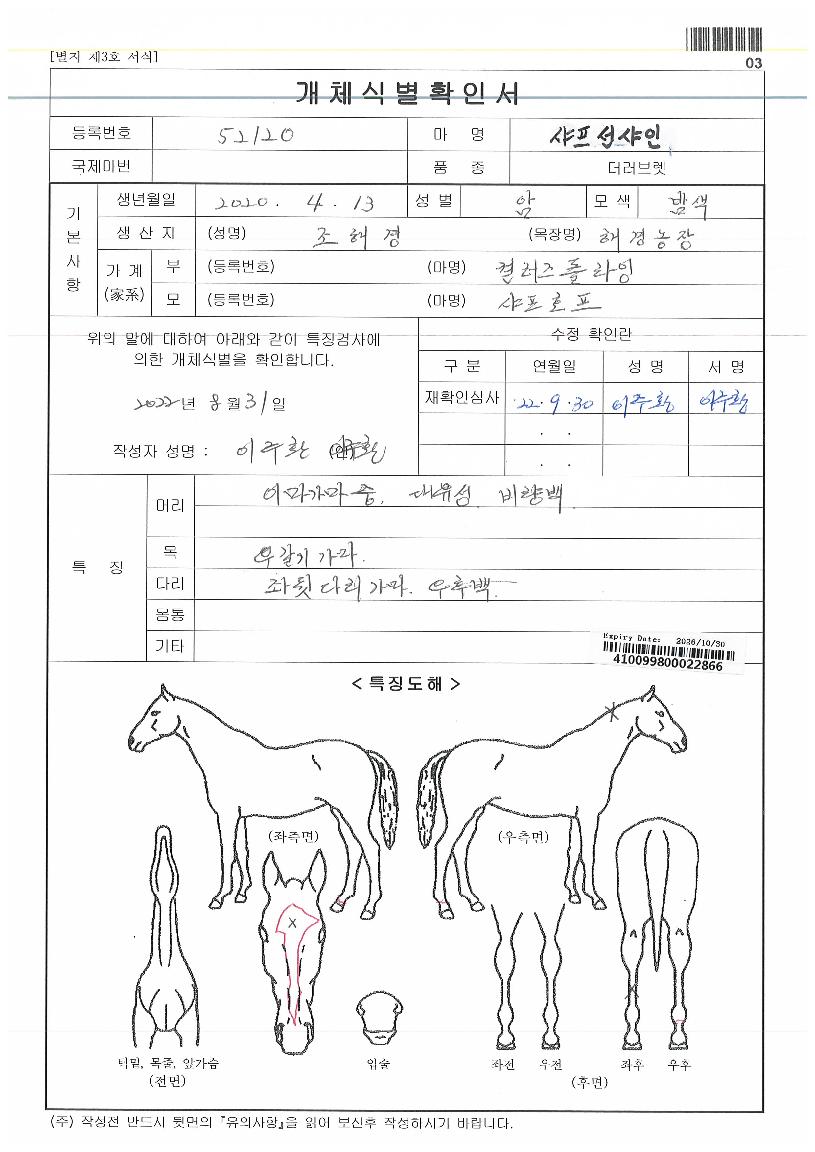 »þÇÁ¼±»þÀÎÀÇ Ãø¸é,¿ì¸é,µÞ¸é,µÎ»ó,´Ù¸®ÀÇ Æ¯Â¡µµÇØ