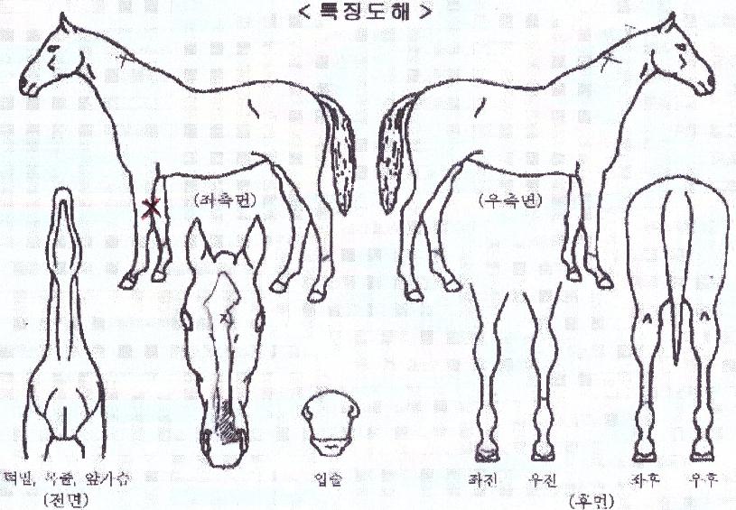 ����Ʈ���� ����,���,�޸�,�λ�,�ٸ��� Ư¡����