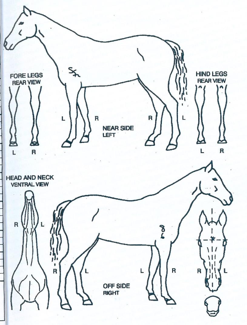 ÄÄÇ»ÅÍÆÐÄ¡ÀÇ Ãø¸é,¿ì¸é,µÞ¸é,µÎ»ó,´Ù¸®ÀÇ Æ¯Â¡µµÇØ