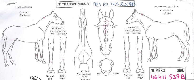 ���ڷ���Ʈ�� ����,���,�޸�,�λ�,�ٸ��� Ư¡����