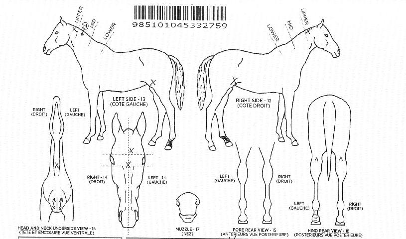 ¾Æ³ªÇÁÀÇ Ãø¸é,¿ì¸é,µÞ¸é,µÎ»ó,´Ù¸®ÀÇ Æ¯Â¡µµÇØ