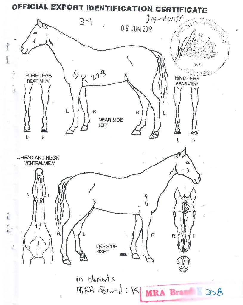 ¼¿¶óºñÀÇ Ãø¸é,¿ì¸é,µÞ¸é,µÎ»ó,´Ù¸®ÀÇ Æ¯Â¡µµÇØ