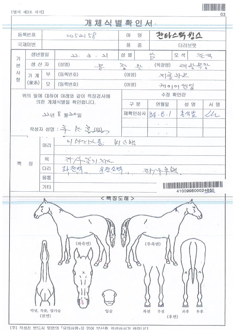 ÆÇŸ½ºÆ½À®½ºÀÇ Ãø¸é,¿ì¸é,µÞ¸é,µÎ»ó,´Ù¸®ÀÇ Æ¯Â¡µµÇØ