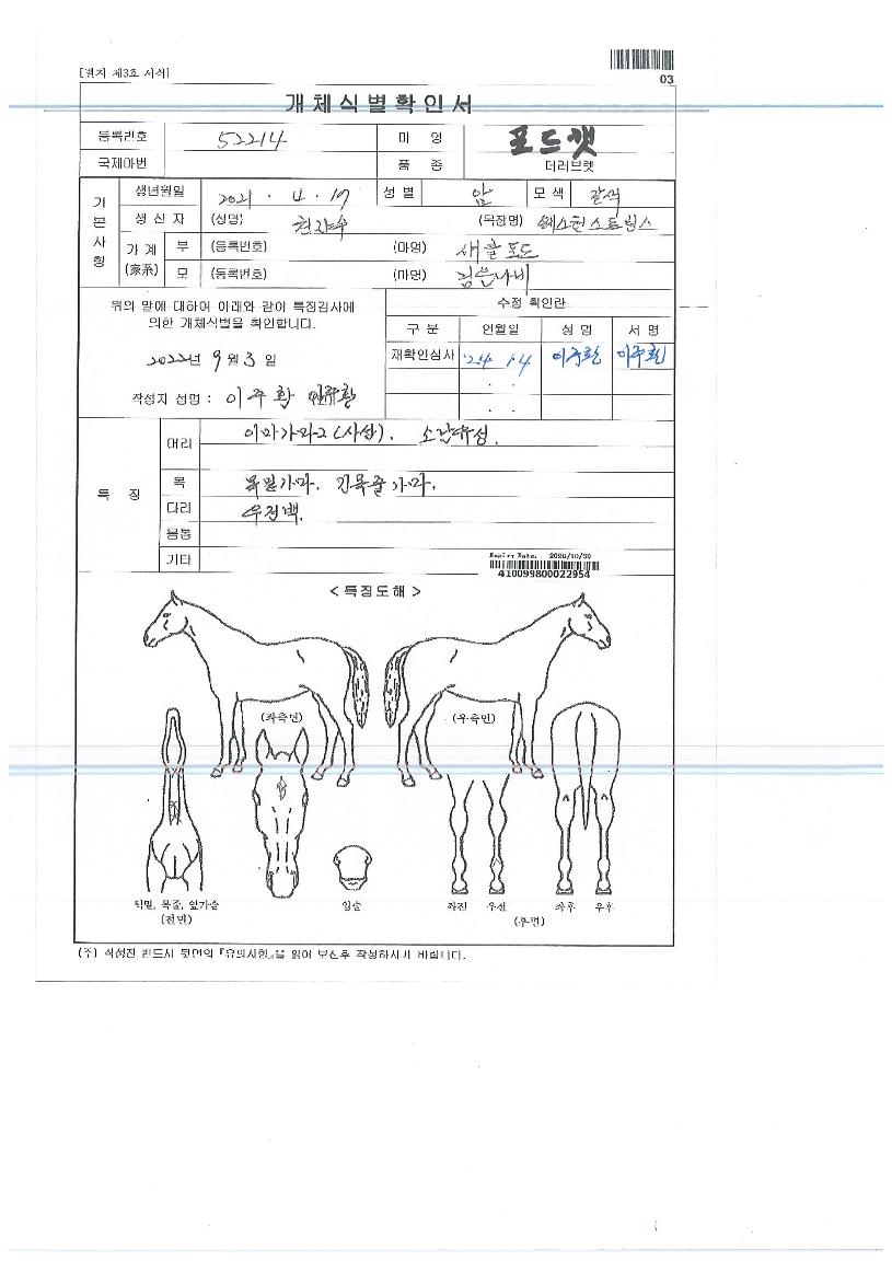 Æ÷µåĹÀÇ Ãø¸é,¿ì¸é,µÞ¸é,µÎ»ó,´Ù¸®ÀÇ Æ¯Â¡µµÇØ