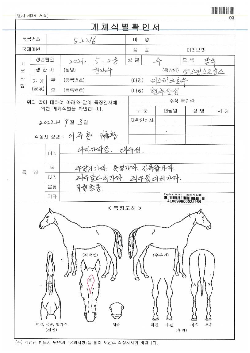 ¹Ì½ºÅÍij½½ÀÇ Ãø¸é,¿ì¸é,µÞ¸é,µÎ»ó,´Ù¸®ÀÇ Æ¯Â¡µµÇØ