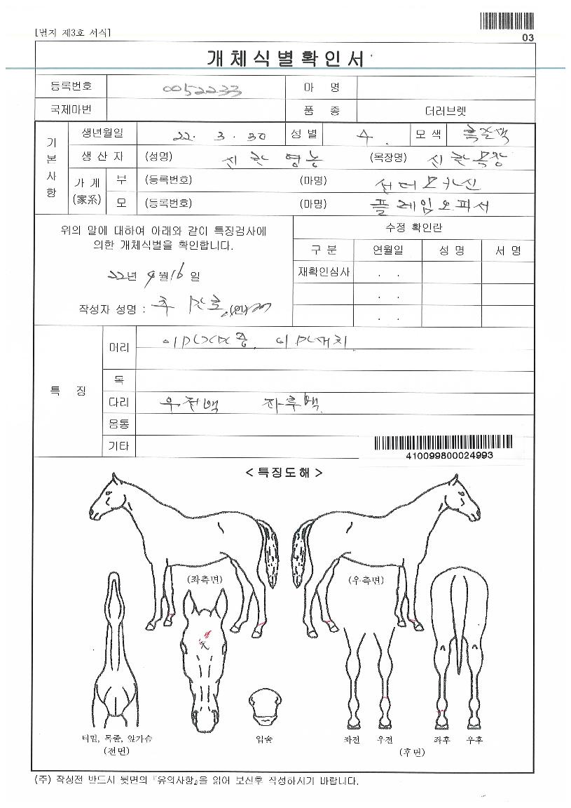 Ç÷¹ÀÓ¿ÀÇǼÀÚ¸¶ÀÇ Ãø¸é,¿ì¸é,µÞ¸é,µÎ»ó,´Ù¸®ÀÇ Æ¯Â¡µµÇØ