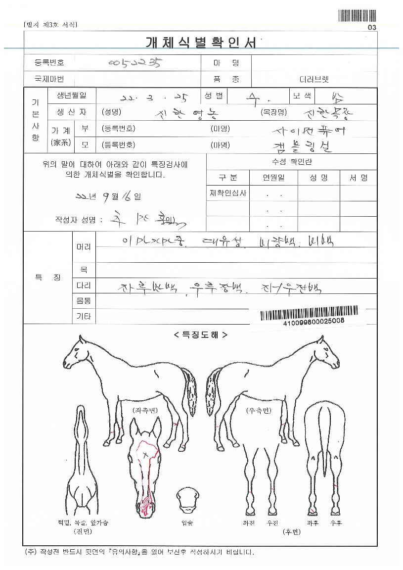 ¼ºÎ°·ºíÀÇ Ãø¸é,¿ì¸é,µÞ¸é,µÎ»ó,´Ù¸®ÀÇ Æ¯Â¡µµÇØ