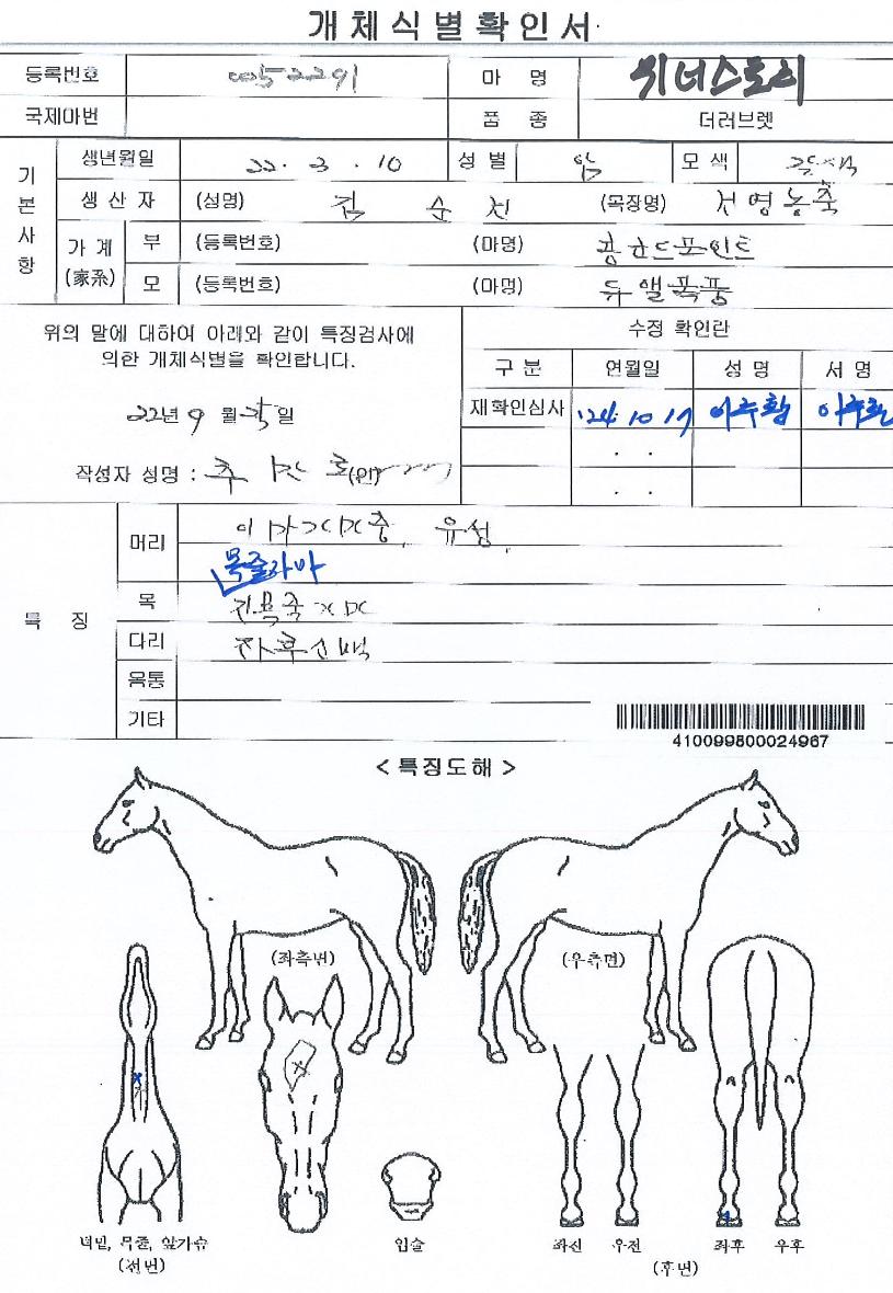 ¶óÆä½ºÅ¸ÀÇ Ãø¸é,¿ì¸é,µÞ¸é,µÎ»ó,´Ù¸®ÀÇ Æ¯Â¡µµÇØ