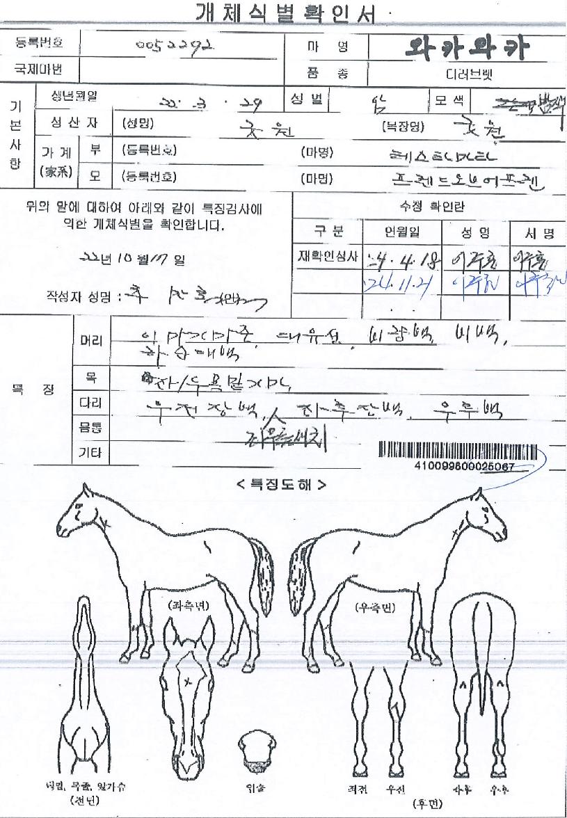 ��ī��ī�� ����,���,�޸�,�λ�,�ٸ��� Ư¡����