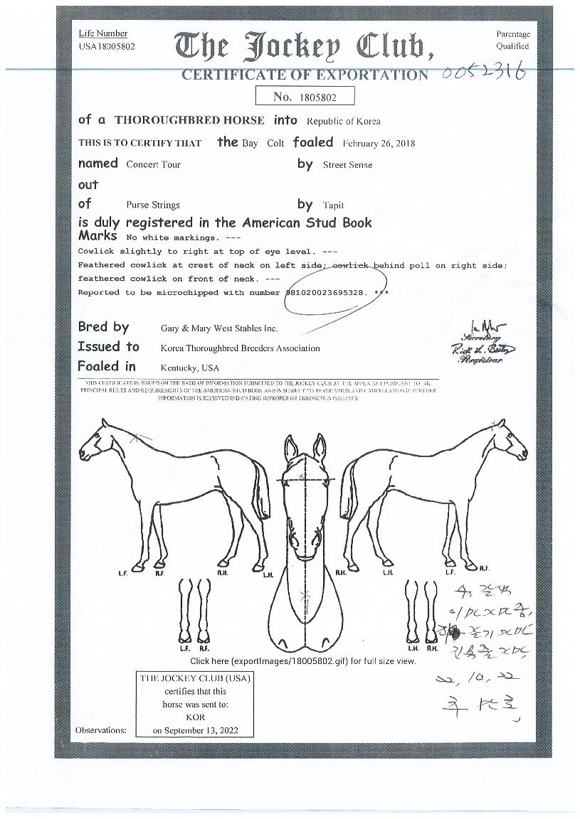 �ܼ�Ʈ������ ����,���,�޸�,�λ�,�ٸ��� Ư¡����