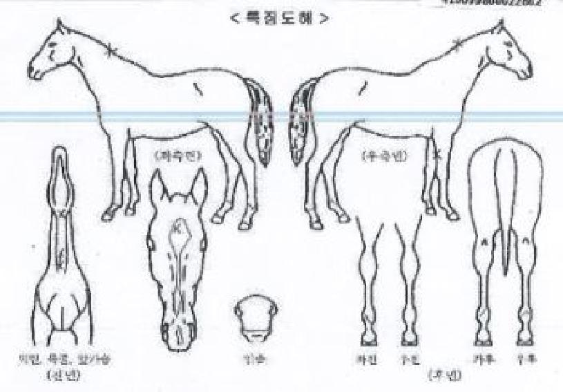 �Ϳ��� ����,���,�޸�,�λ�,�ٸ��� Ư¡����