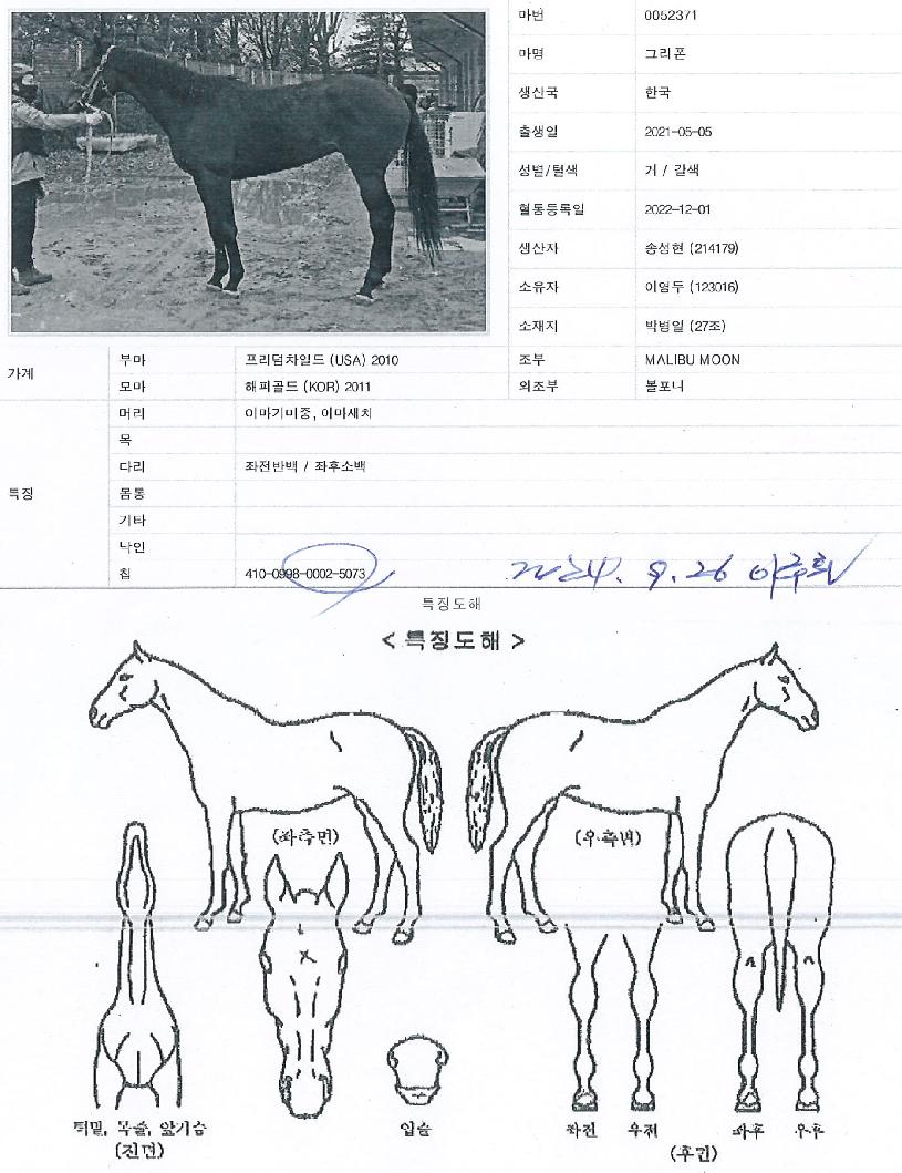 ±×¸®ÆùÀÇ Ãø¸é,¿ì¸é,µÞ¸é,µÎ»ó,´Ù¸®ÀÇ Æ¯Â¡µµÇØ