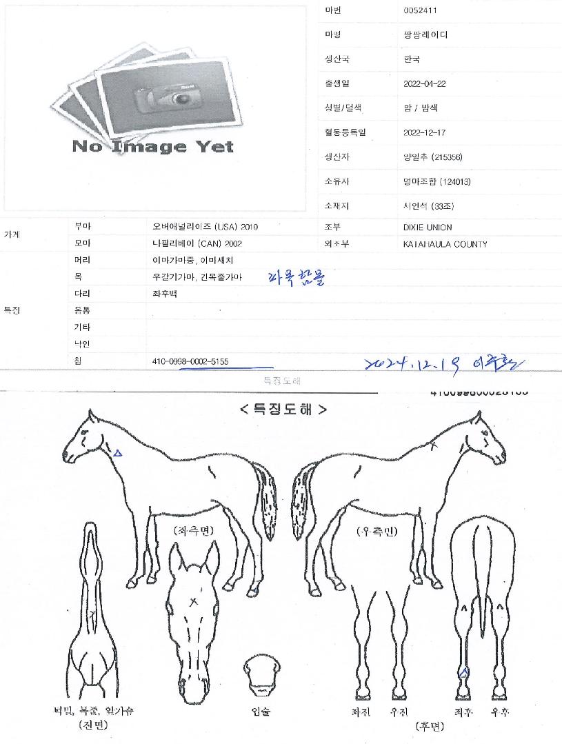 ���η��̵��� ����,���,�޸�,�λ�,�ٸ��� Ư¡����