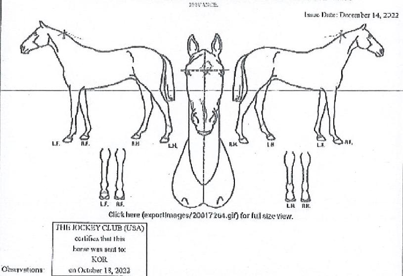 ��ƮƮ������ ����,���,�޸�,�λ�,�ٸ��� Ư¡����