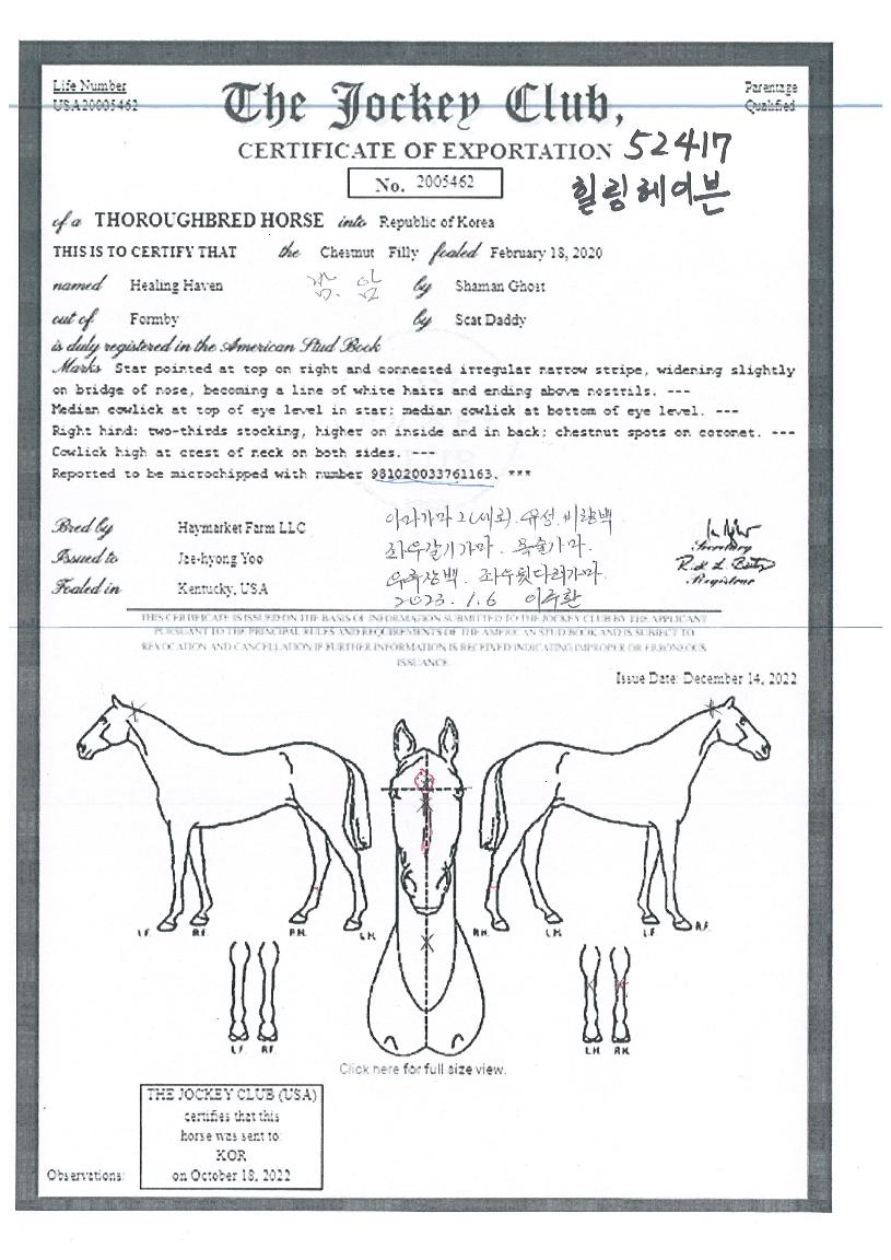 �������̺��� ����,���,�޸�,�λ�,�ٸ��� Ư¡����