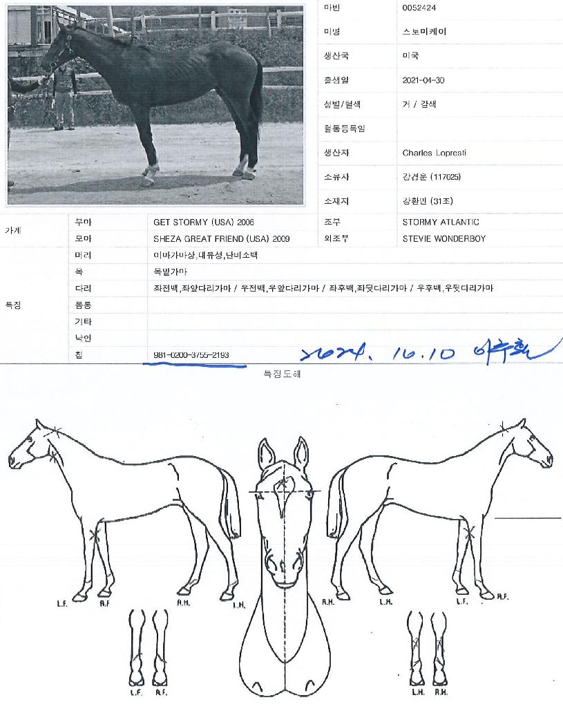 ½ºÅä¹ÌÄÉÀÌÀÇ Ãø¸é,¿ì¸é,µÞ¸é,µÎ»ó,´Ù¸®ÀÇ Æ¯Â¡µµÇØ