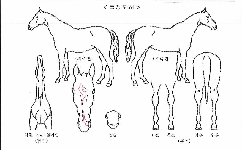 ȣ�������� ����,���,�޸�,�λ�,�ٸ��� Ư¡����