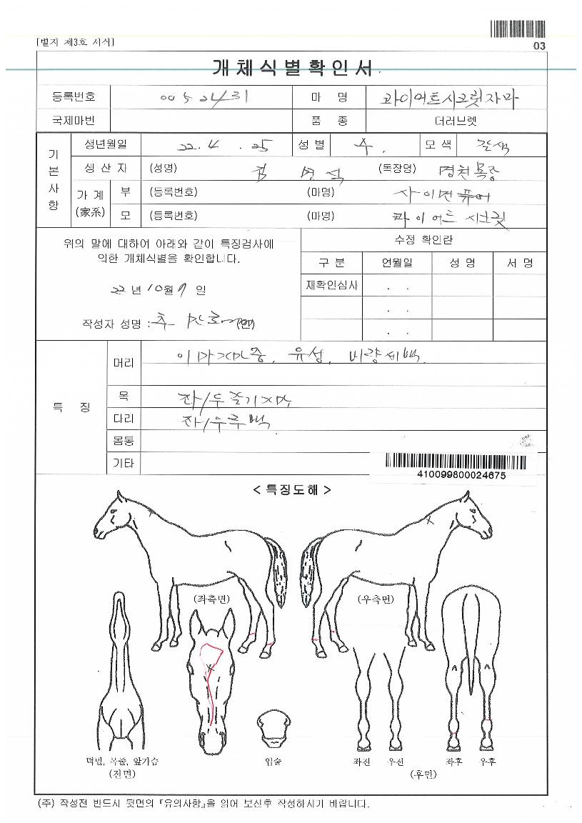 �긮��ĸƾ�� ����,���,�޸�,�λ�,�ٸ��� Ư¡����