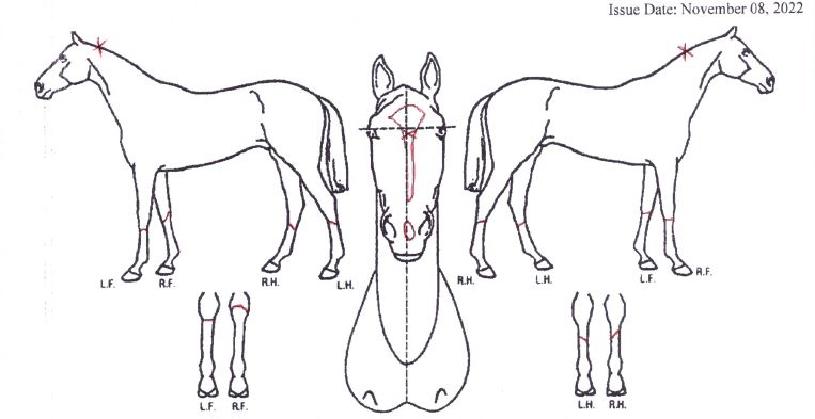 �������ۿ��� ����,���,�޸�,�λ�,�ٸ��� Ư¡����